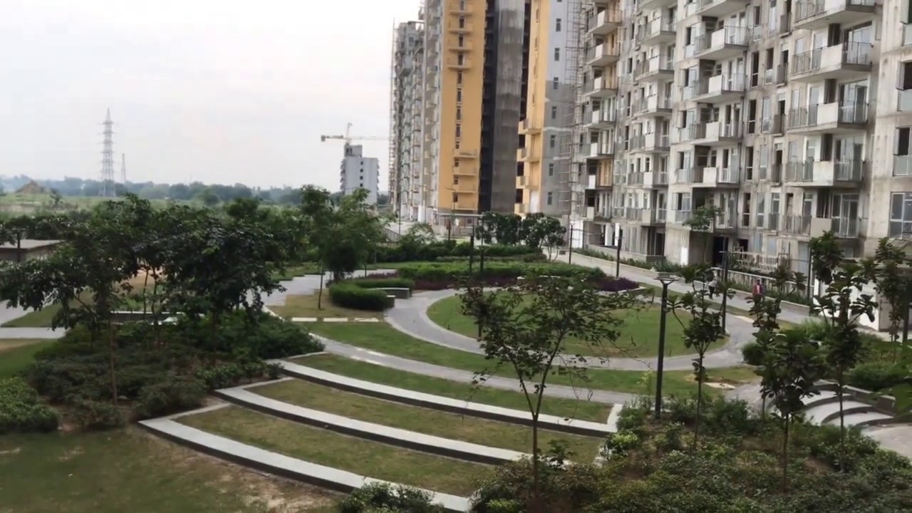 Image 15
