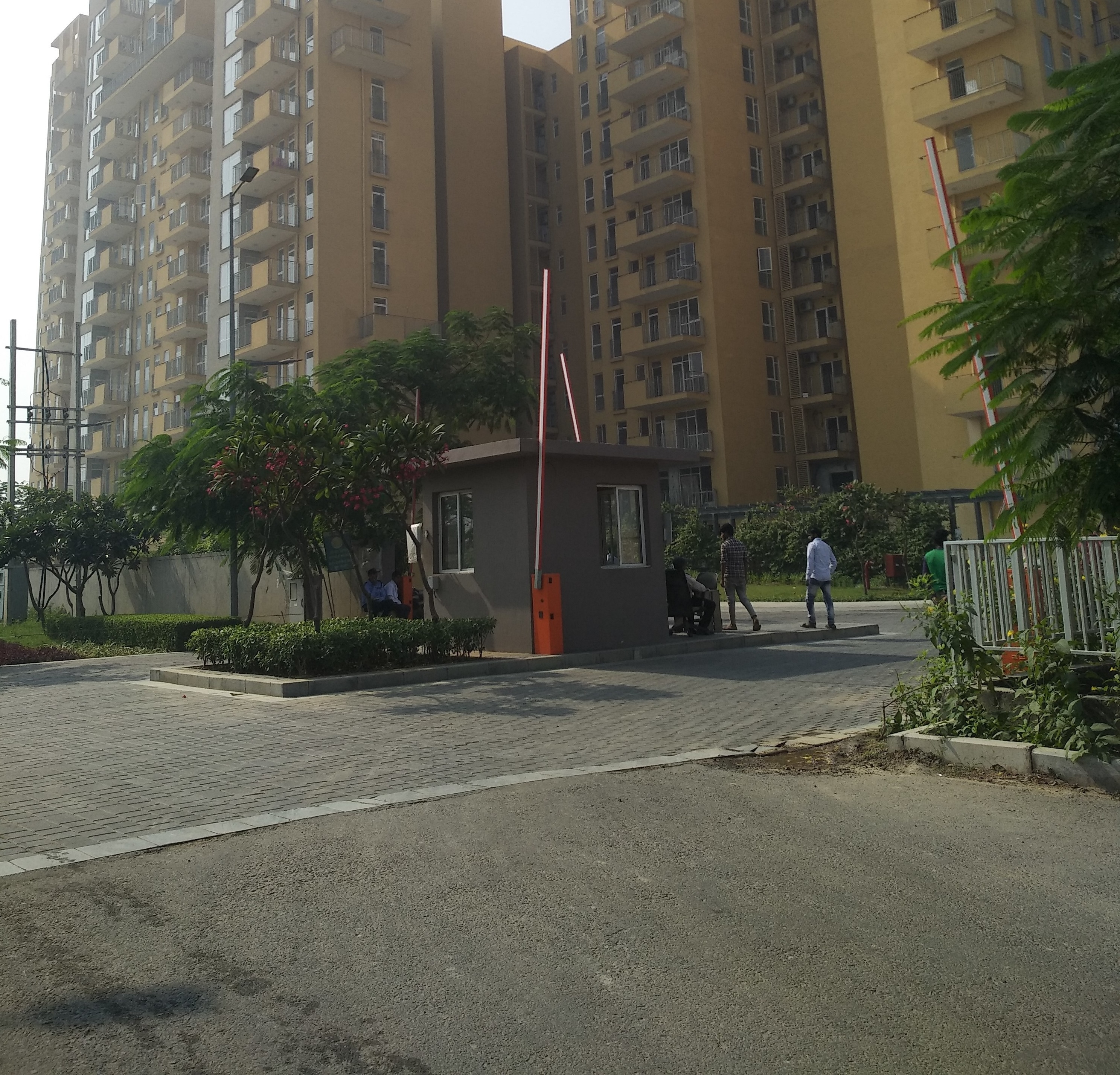 Image 3